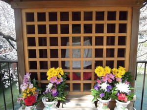 聖護院　琵琶湖疎水　桜のお地蔵さん