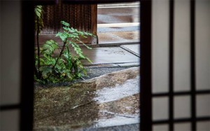 雨の日のパスカルペニョでの撮影