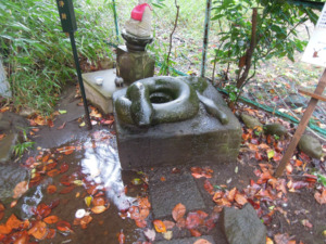 芝の宝珠院　三すくみ　蛇