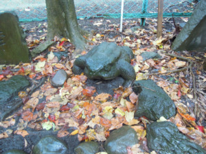 芝の宝珠院　三すくみ　蛙