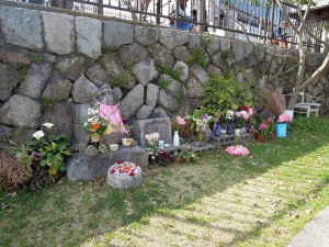 桜の季節 三条大橋たもと鴨川の地蔵