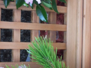 室町今出川上る　お地蔵さん