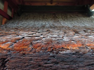 新町夷川　お地蔵さんと神様