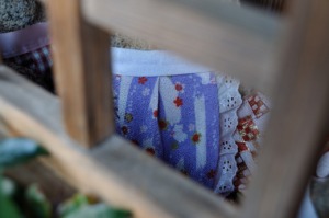 京都西陣　真教寺