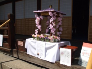 金剛寺 花まつり