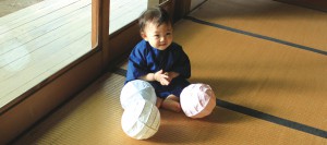 「わしまり」 小菱屋忠兵衛