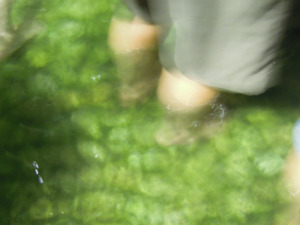 世界遺産に登録された下鴨神社（賀茂御祖神社）　足つけ神事