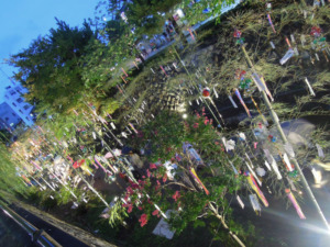 2014　京の七夕　in堀川