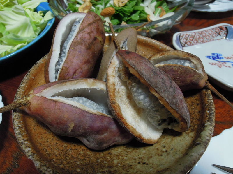 秋の味覚 あけび