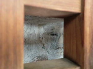 新町寺之内上ル道正町のお地蔵さん