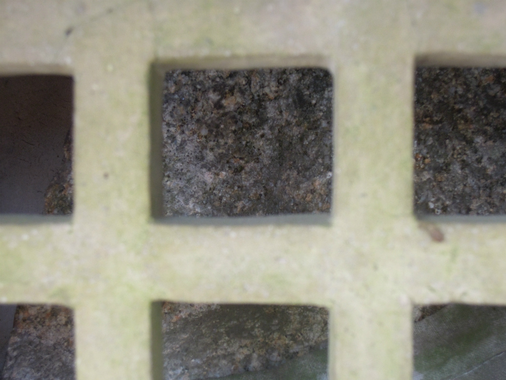 将軍塚青龍殿のお地蔵さん