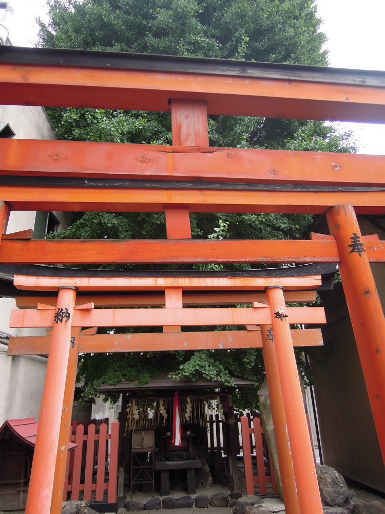 京都島原の大銀杏