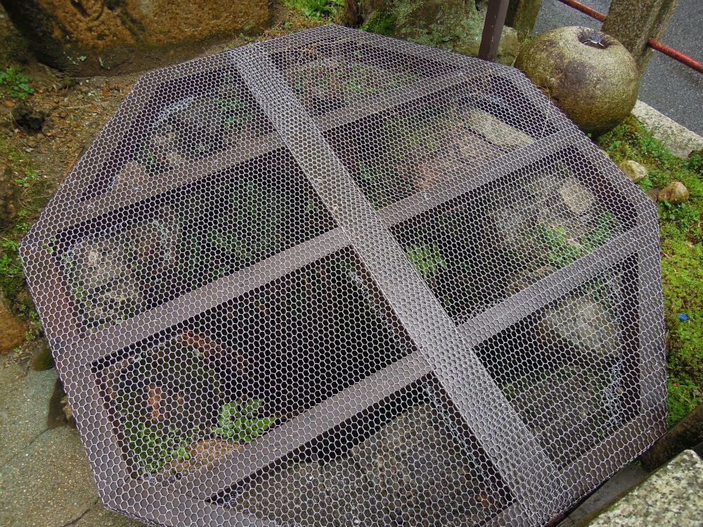 有馬町 妬(うわなり)泉源