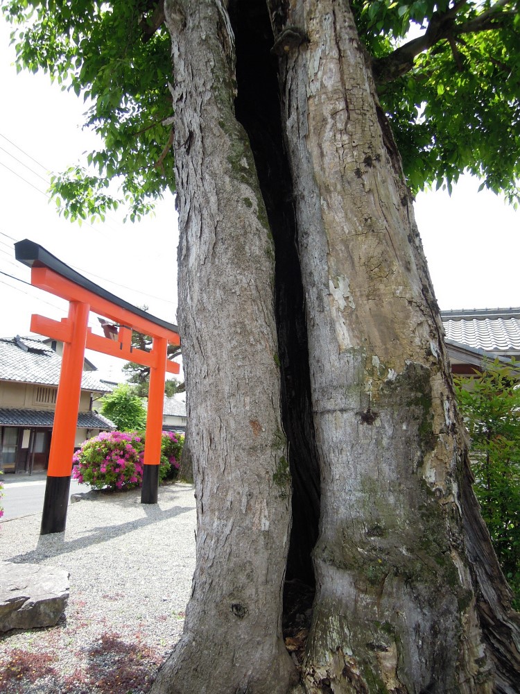 比叡山お膝元 坂本 大神門神社