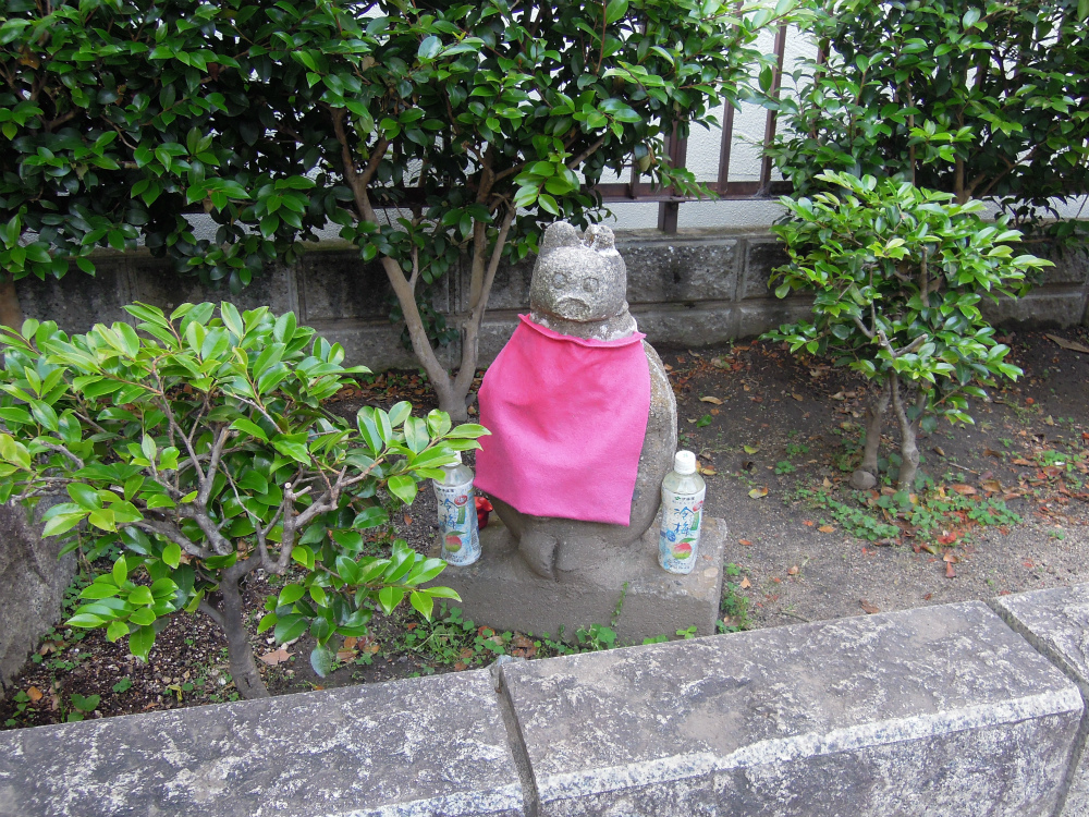 大阪 ななしの狸