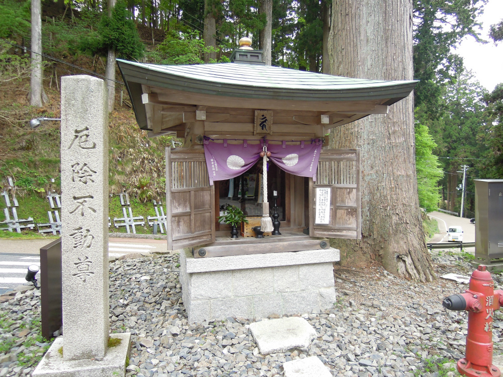 比叡山山頂 厄除け不動尊