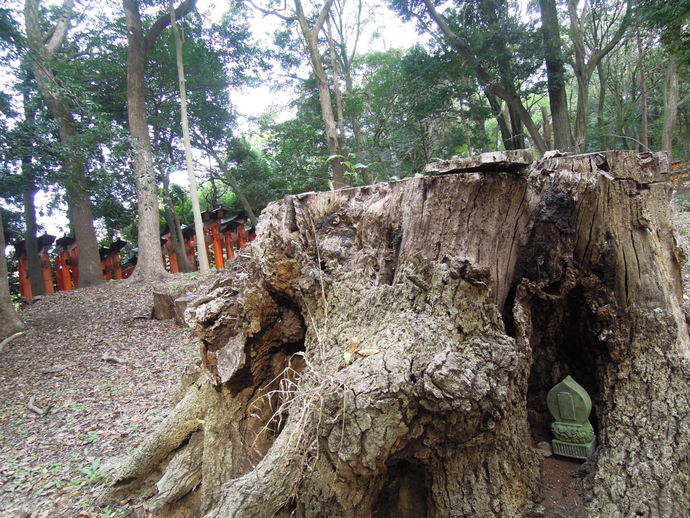 伏見稲荷の中にいはったお地蔵さん