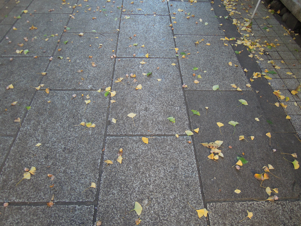 台東区鳥越　鳥越神社