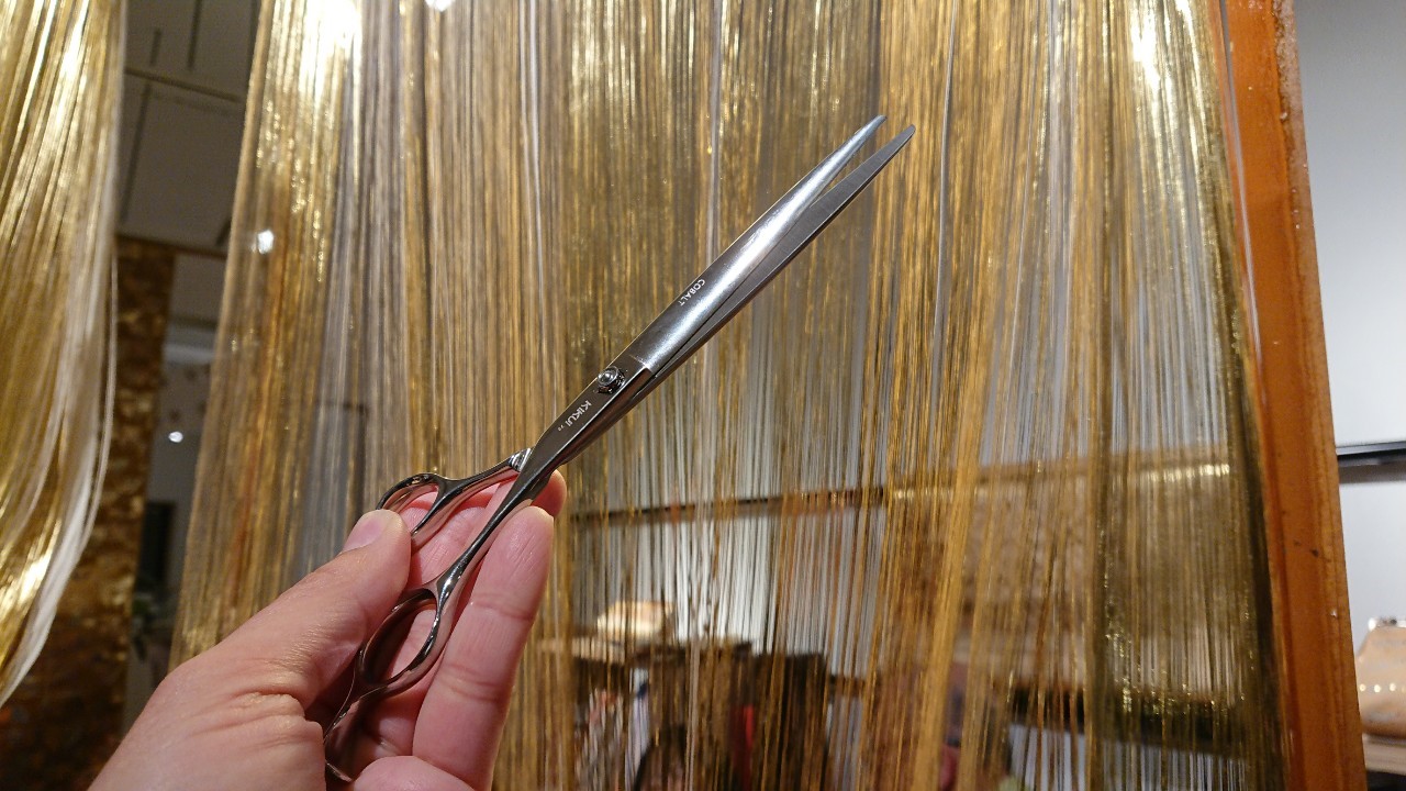 本金箔とキクイシザーズ