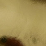 西陣織、その材料を使ってしおりを作ろう