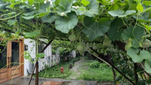 中国「デザイン上海」No.6 金澤工芸社への旅　西陣織の西陣岡本