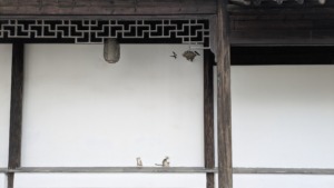 中国金澤工芸社の風景　西陣織の西陣岡本