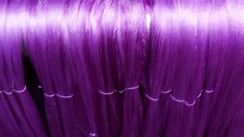 日本産紫根で染めた絹糸で西陣織を織る　糸を染めているシーン